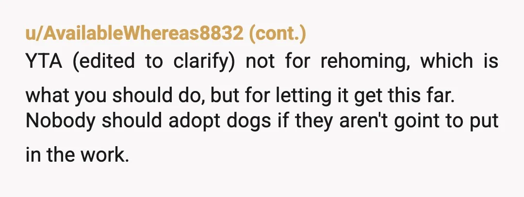 u/Dangerousbbaby NTA. Let's be completely blunt: a dog with a history of biting, intense reactivity, extreme barrier aggression, and unpredictable sound triggers is a ticking time bomb around an infant....