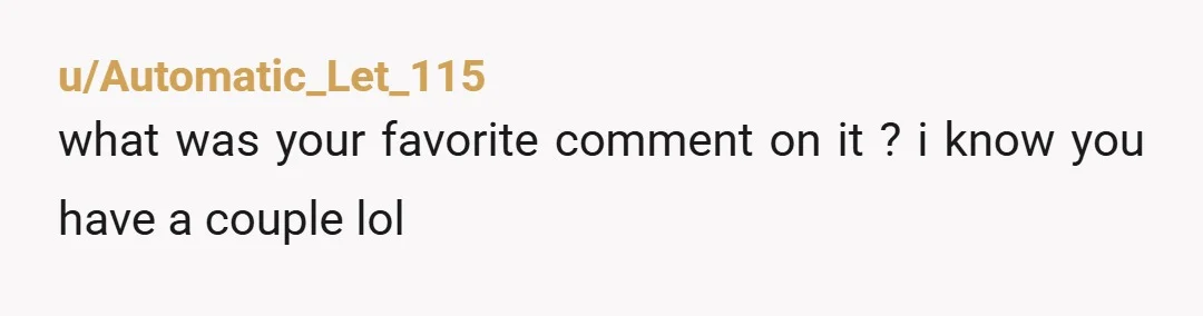 u/Automatic_Let_115 what was your favorite comment on it ? i know you have a couple lol