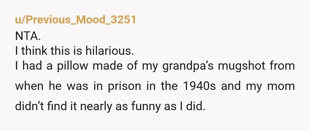 u/Previous_Mood_3251 NTA. I think this is hilarious. I had a pillow made of my grandpa’s mugshot from when he was in prison in the 1940s and my mom didn’t find...