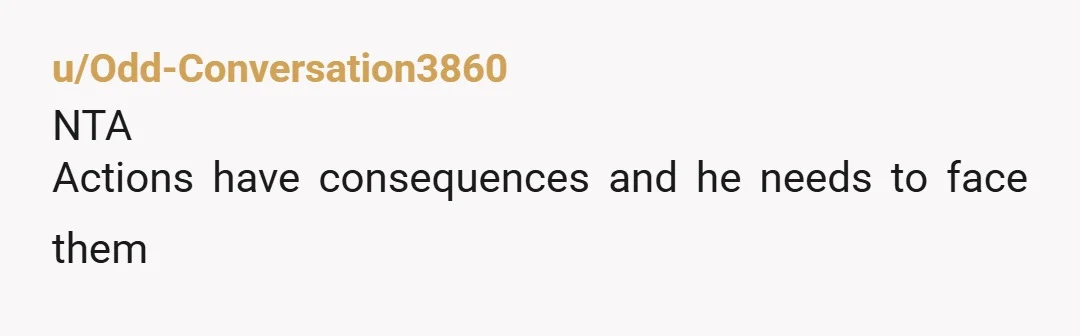 u/DazzlingPotion NOPE! It is best for your brother to have to suffer the consequences of his illegal actions and your parents can find a way to finance his lawyer if...