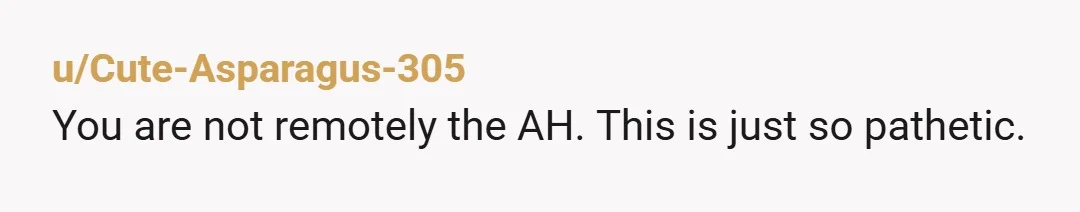 u/Cute-Asparagus-305
You are not remotely the AH. This is just so pathetic.