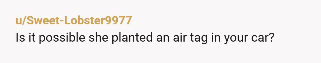 u/Sweet-Lobster9977
Is it possible she planted an air tag in your car?
