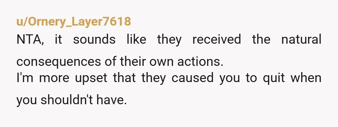 u/Ornery_Layer7618
NTA, it sounds like they received the natural consequences of their own actions.
I'm more upset that they caused you to quit when you shouldn't have.
