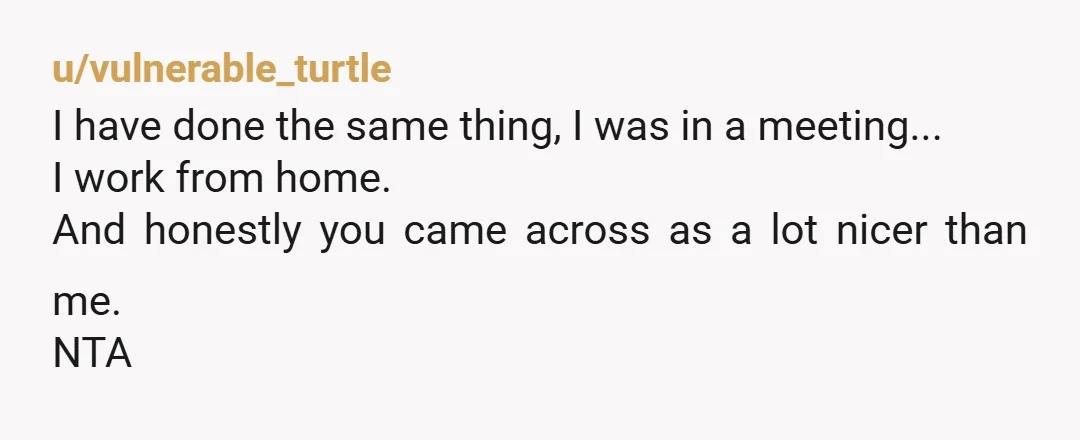 u/vulnerable_turtle
I have done the same thing, I was in a meeting...
I work from home.
And honestly you came across as a lot nicer than me. 
NTA