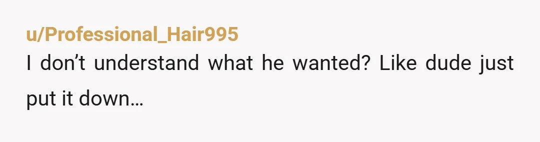 u/Professional_Hair995
I don’t understand what he wanted? Like dude just put it down…