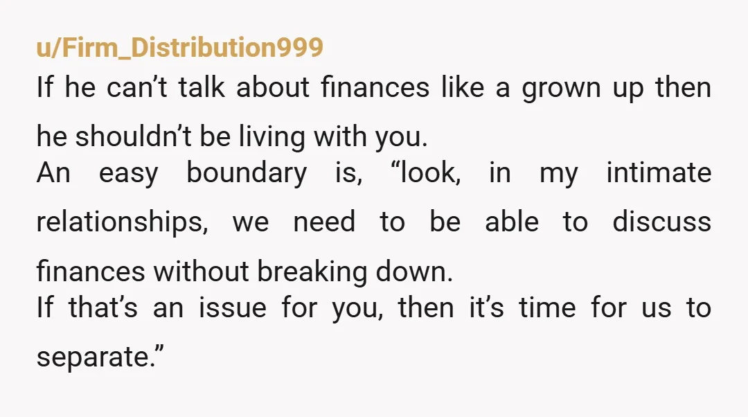 u/Firm_Distribution999 If he can’t talk about finances like a grown up then he shouldn’t be living with you. An easy boundary is, “look, in my intimate relationships, we need to...
