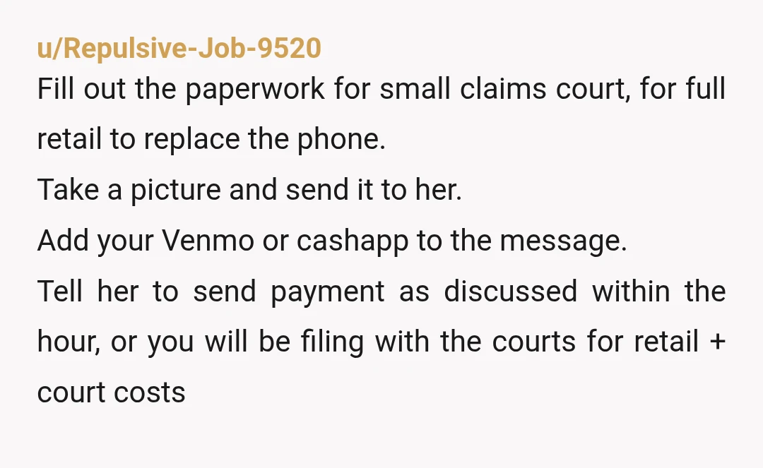 u/Repulsive-Job-9520 Fill out the paperwork for small claims court, for full retail to replace the phone. Take a picture and send it to her. Add your Venmo or cashapp to...
