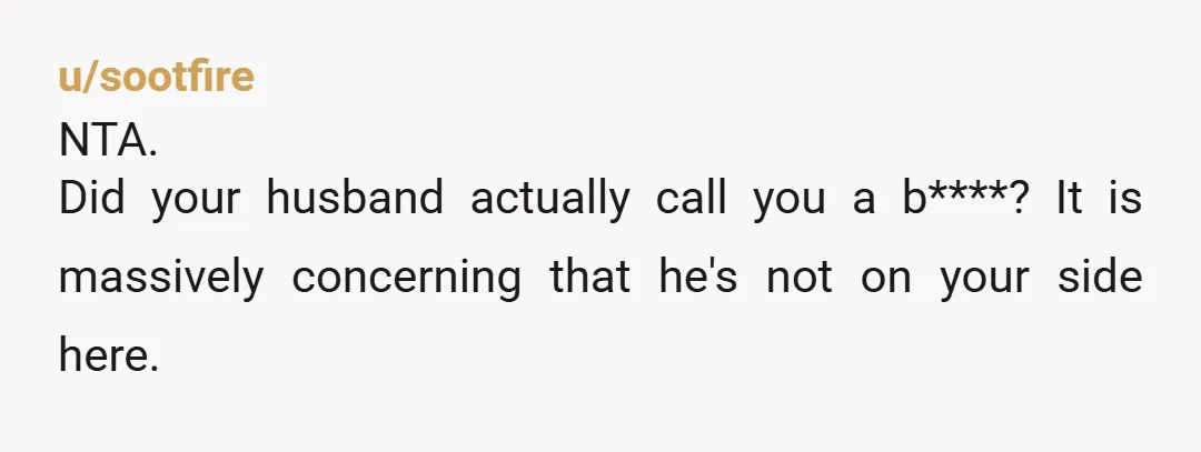 u/sootfire
NTA.
Did your husband actually call you a b****? It is massively concerning that he's not on your side here.
