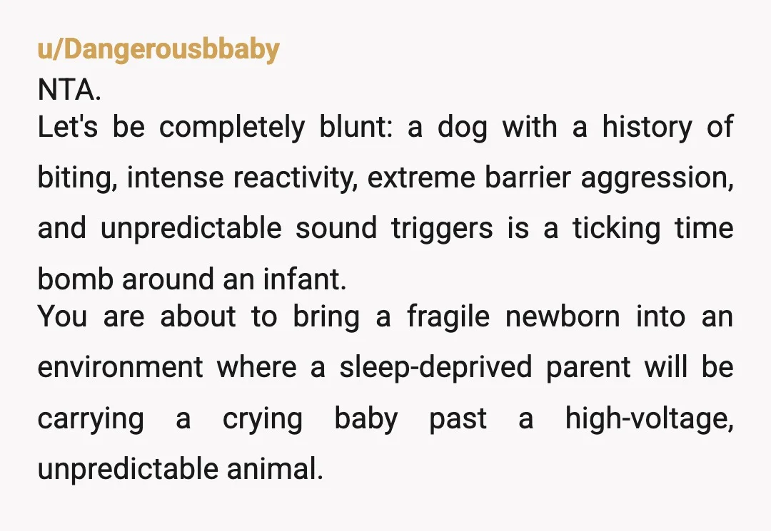 u/ResponsibleName8637 If the dog has bitten you, it absolutely has to go. It’s not worth the risk to your baby. And I say that as someone who had a very...