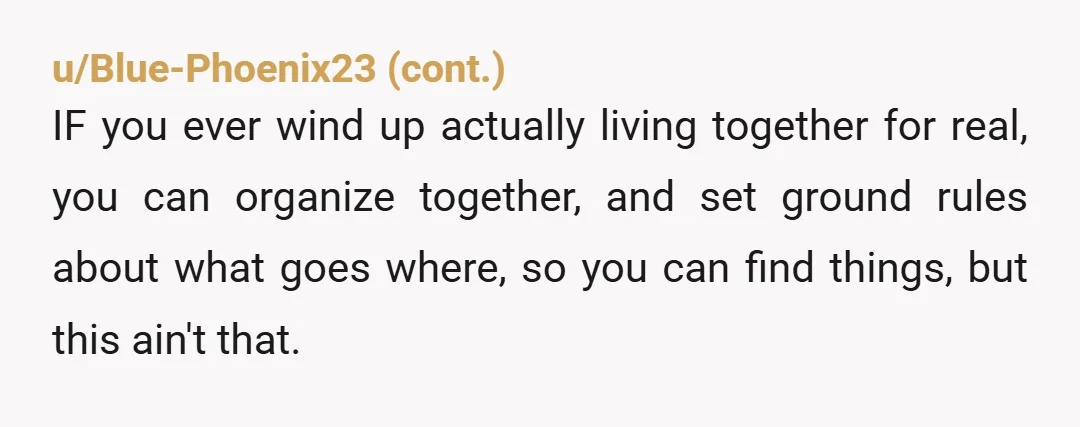 u/Top-Bit85 She may be your partner but she does not live there. (Does she want to live there, is she hoping to make herself indispensable?) She has no business "organizing"...