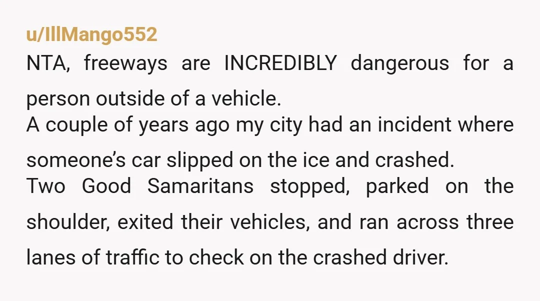 u/IllMango552 NTA, freeways are INCREDIBLY dangerous for a person outside of a vehicle. A couple of years ago my city had an incident where someone’s car slipped on the ice...