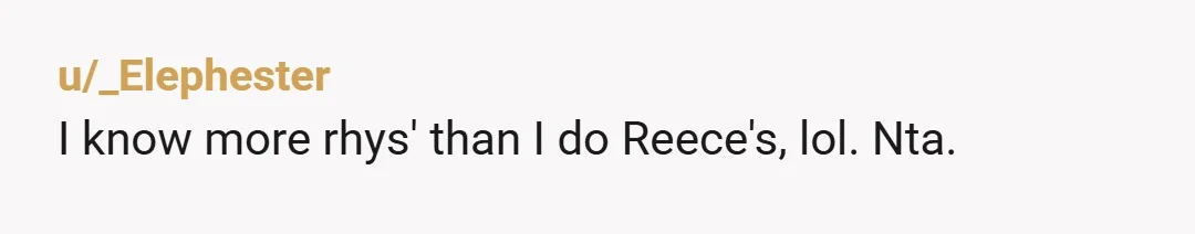 u/_Elephester I know more rhys' than I do Reece's, lol. Nta.