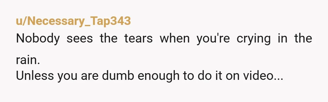 u/Necessary_Tap343 Nobody sees the tears when you're crying in the rain. Unless you are dumb enough to do it on video...