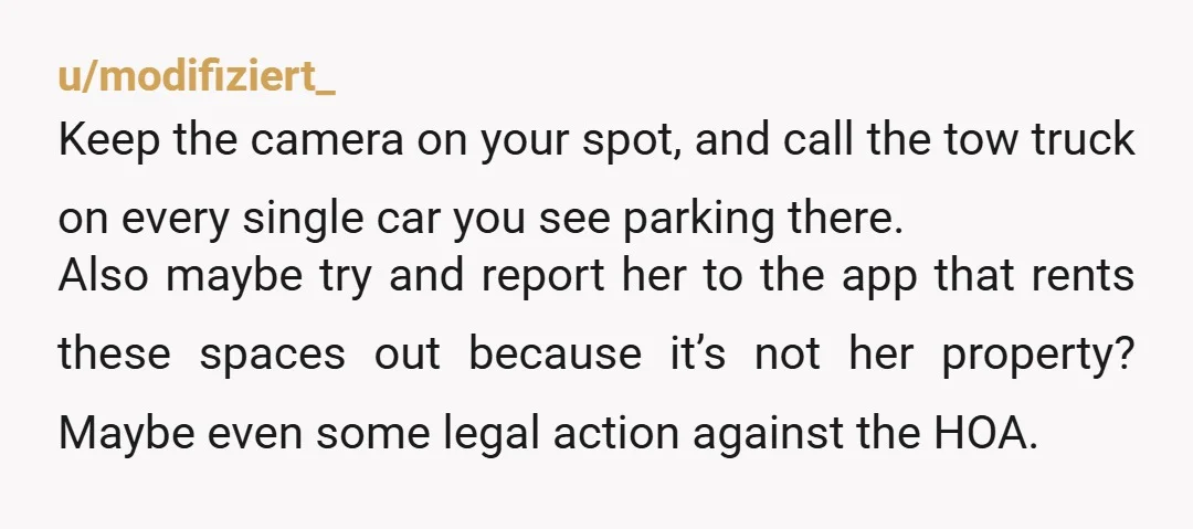 u/modifiziert_ Keep the camera on your spot, and call the tow truck on every single car you see parking there. Also maybe try and report her to the app that...