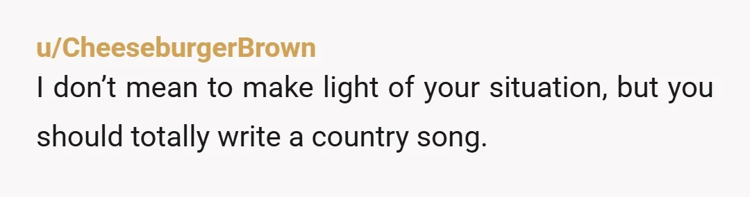 u/CheeseburgerBrown
I don’t mean to make light of your situation, but you should totally write a country song.