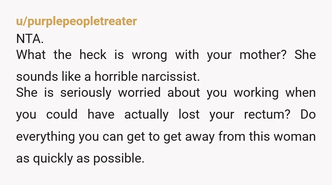 u/purplepeopletreater NTA. What the heck is wrong with your mother? She sounds like a horrible narcissist. She is seriously worried about you working when you could have actually lost your...