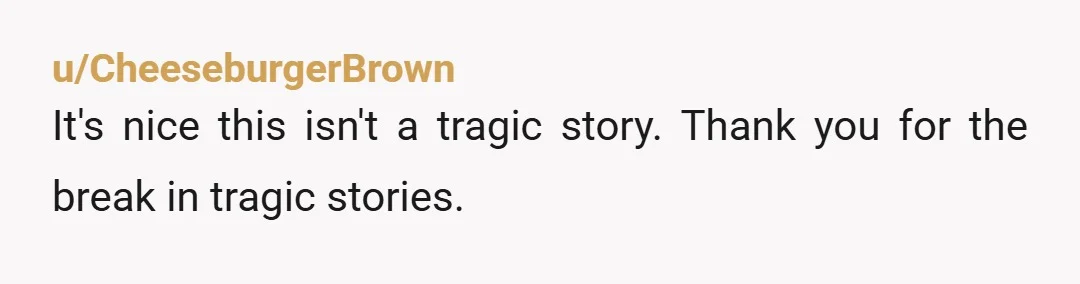 u/CheeseburgerBrown
It's nice this isn't a tragic story. Thank you for the break in tragic stories.