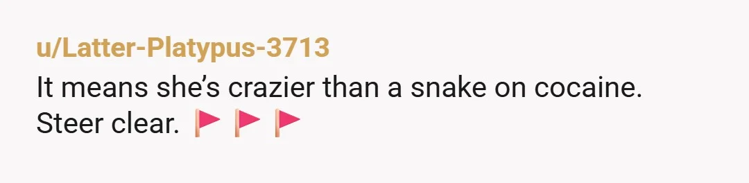 u/Latter-Platypus-3713
It means she’s crazier than a snake on cocaine.
Steer clear. 🚩🚩🚩