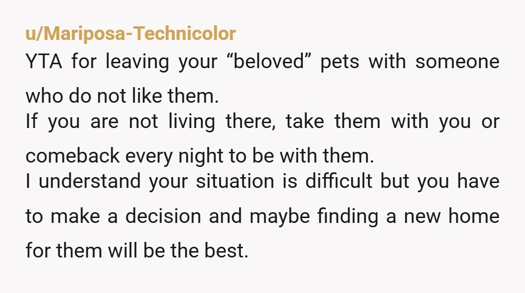 u/SecurityAcceptable41 Tbh... YTA , soft yta You should be doing the main care. It's nice to spend most nights at a partners but you have living creatures to tend to...