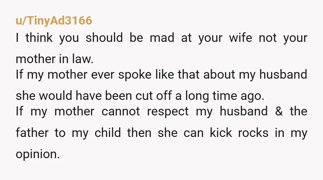 u/TinyAd3166 I think you should be mad at your wife not your mother in law. If my mother ever spoke like that about my husband she would have been cut...