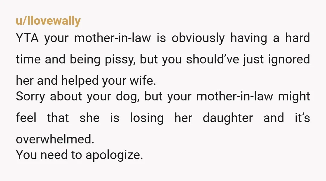 u/Ilovewally YTA your mother-in-law is obviously having a hard time and being pissy, but you should’ve just ignored her and helped your wife. Sorry about your dog, but your mother-in-law...