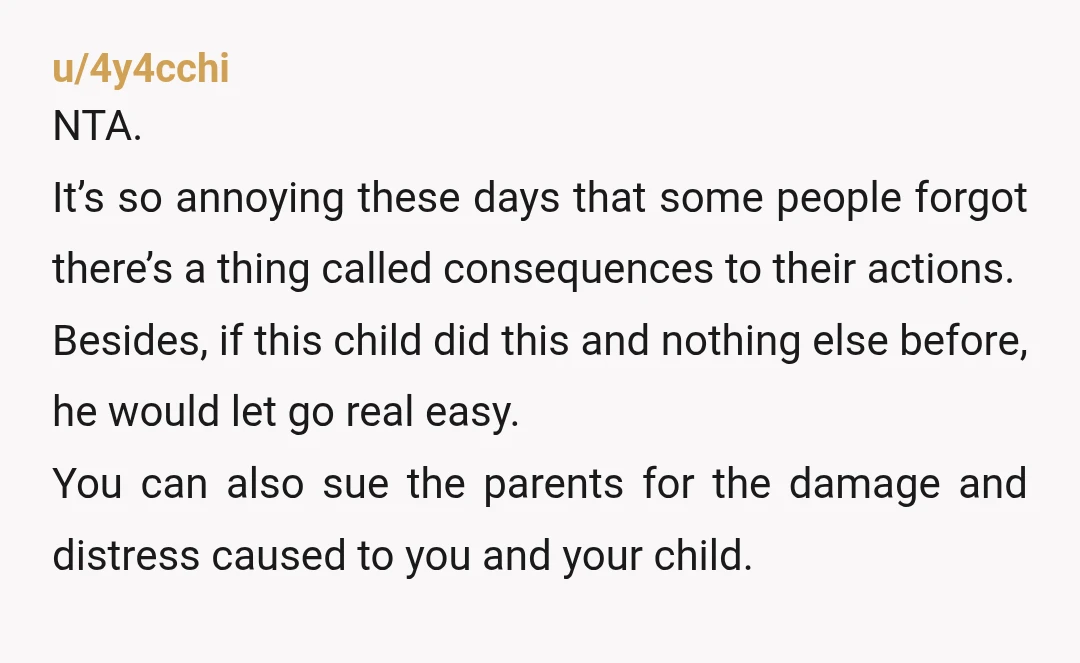 u/4y4cchi NTA. It’s so annoying these days that some people forgot there’s a thing called consequences to their actions. Besides, if this child did this and nothing else before, he...