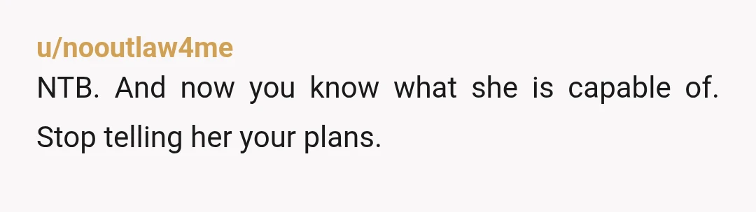 u/nooutlaw4me
NTB. And now you know what she is capable of. Stop telling her your plans.