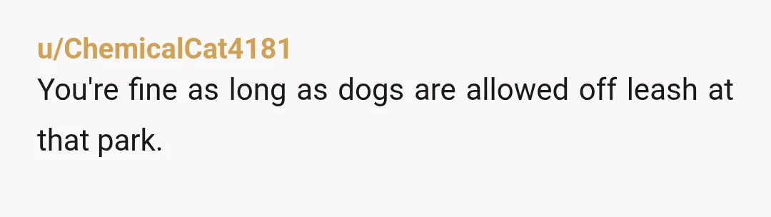 u/spinningmous If offleash dogs are allowed there then NTA. Dog fear is very sincere and even as a dog lover and owner I don't tend to like people having dogs...