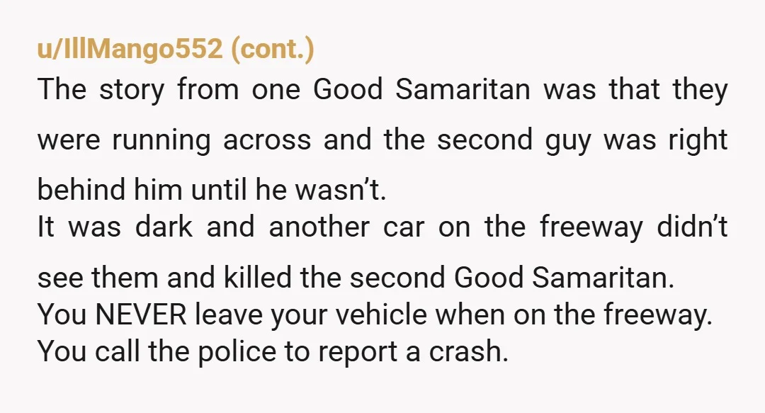 u/viperspm
I’m not stopping on the highway with my family in the car to help someone else.
That’s how more people die.