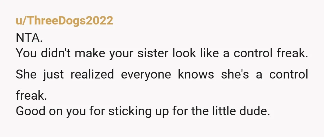 u/ThreeDogs2022 NTA. You didn't make your sister look like a control freak. She just realized everyone knows she's a control freak. Good on you for sticking up for the little...
