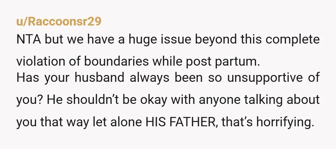 u/Raccoonsr29 NTA but we have a huge issue beyond this complete violation of boundaries while post partum. Has your husband always been so unsupportive of you? He shouldn’t be okay...