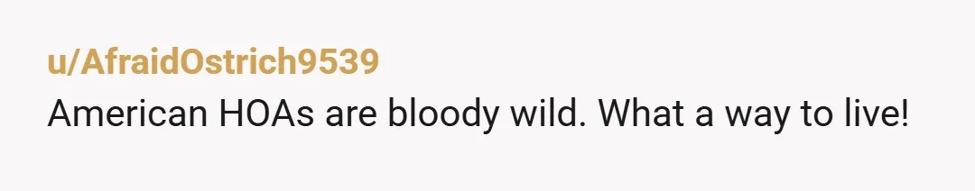 u/AfraidOstrich9539
American HOAs are bloody wild. What a way to live!