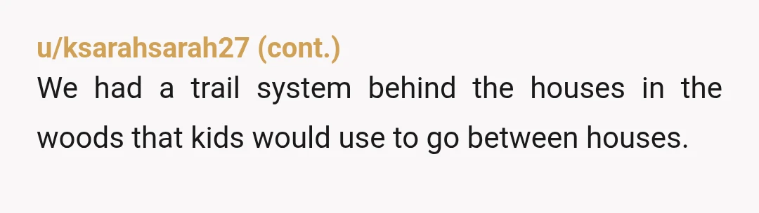 u/Aggressive_Grab_1894
I have certainly don’t have issues with children, I have issues with YOUR children being on my property.
Especially when I’ve repeatedly asked them to stay off.”