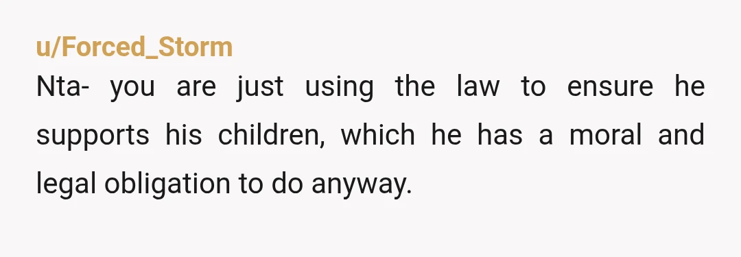u/Forced_Storm
Nta- you are just using the law to ensure he supports his children, which he has a moral and legal obligation to do anyway. 