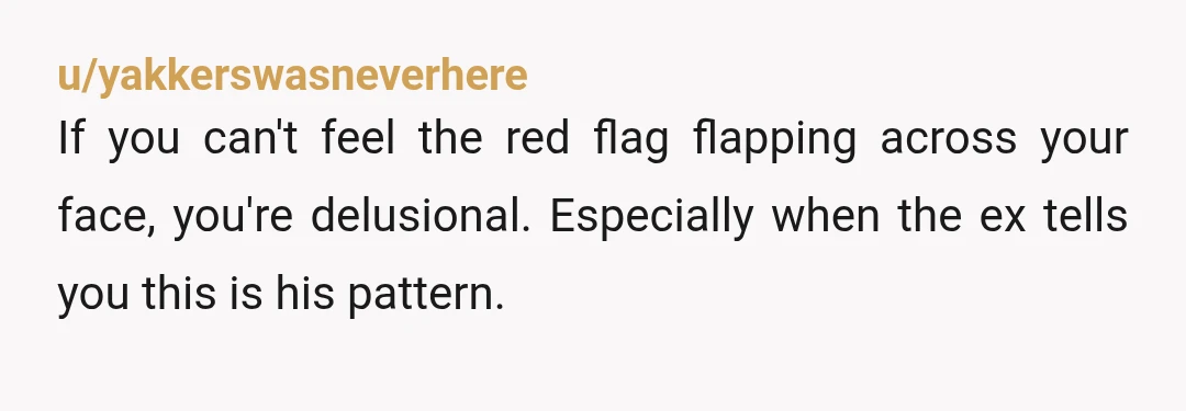 u/yakkerswasneverhere
If you can't feel the red flag flapping across your face, you're delusional. Especially when the ex tells you this is his pattern.