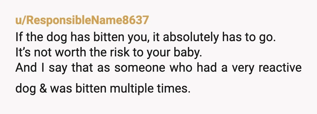 u/Technical-Habit-5114 I am a lifelong pet owner who doesn't believe that pets are disposable, They are family to me, That being said, NTA You have done all the things, Dog...