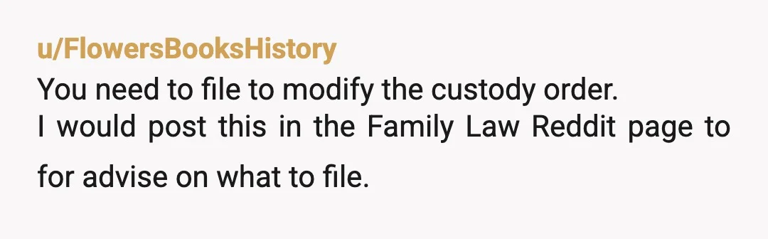 u/FlowersBooksHistory
You need to file to modify the custody order.
I would post this in the Family Law Reddit page to for advise on what to file.