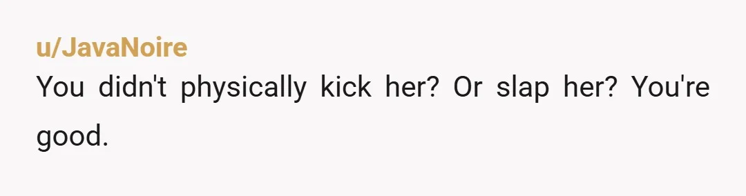 u/JavaNoire
You didn't physically kick her? Or slap her? You're good. 