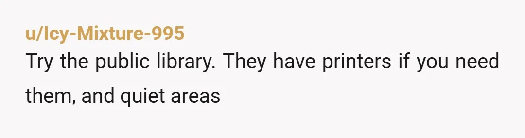 u/Icy-Mixture-995
Try the public library. They have printers if you need them, and quiet areas