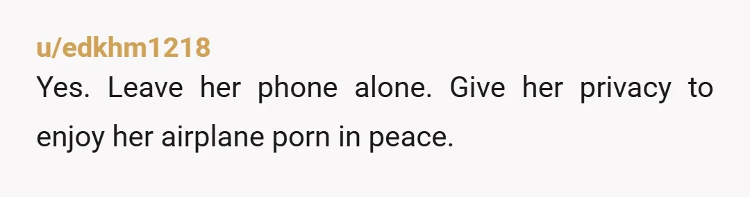 u/edkhm1218
Yes. Leave her phone alone. Give her privacy to enjoy her airplane porn in peace.