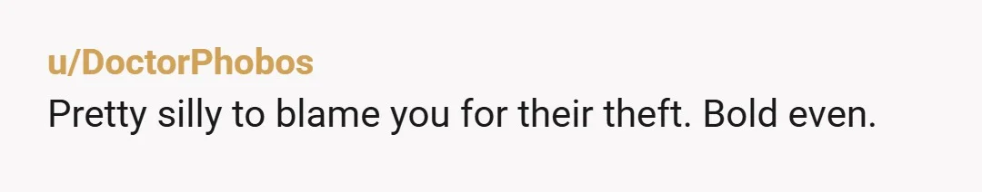 u/DoctorPhobos
Pretty silly to blame you for their theft. Bold even.