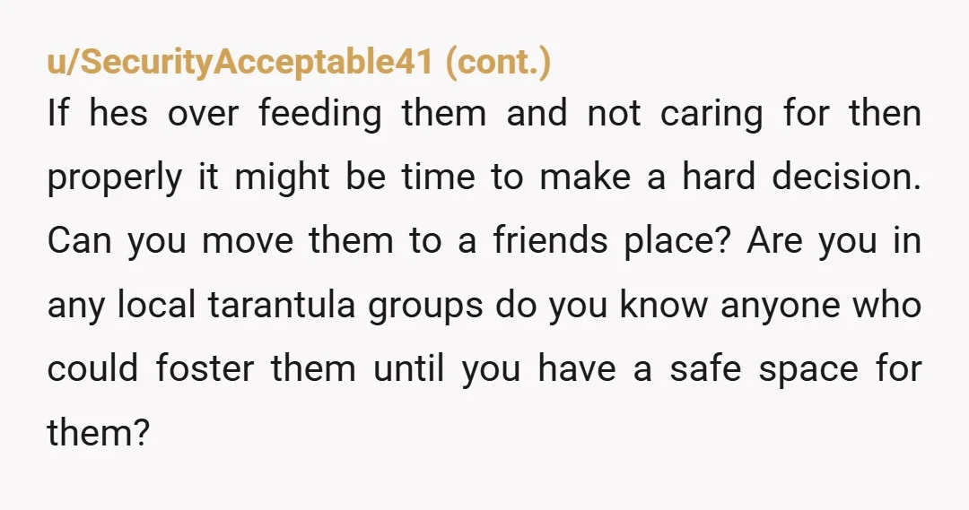 u/Isabelsedai Yes YTA. What do you expect to happen to your spiders? You are only talking about how right you are and not what you can do to protect them....