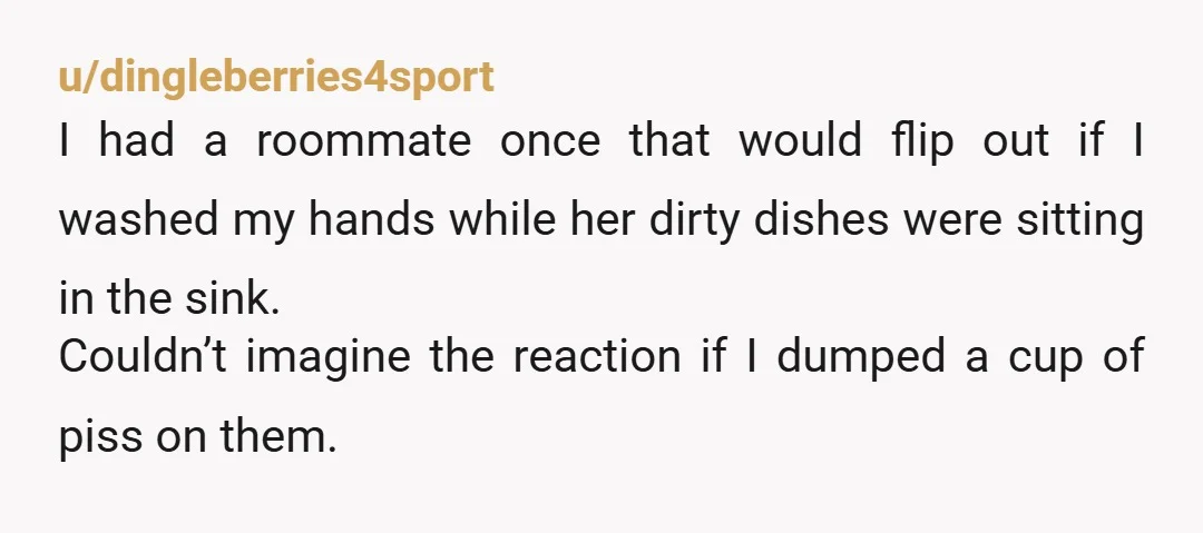 u/dingleberries4sport I had a roommate once that would flip out if I washed my hands while her dirty dishes were sitting in the sink. Couldn’t imagine the reaction if I...