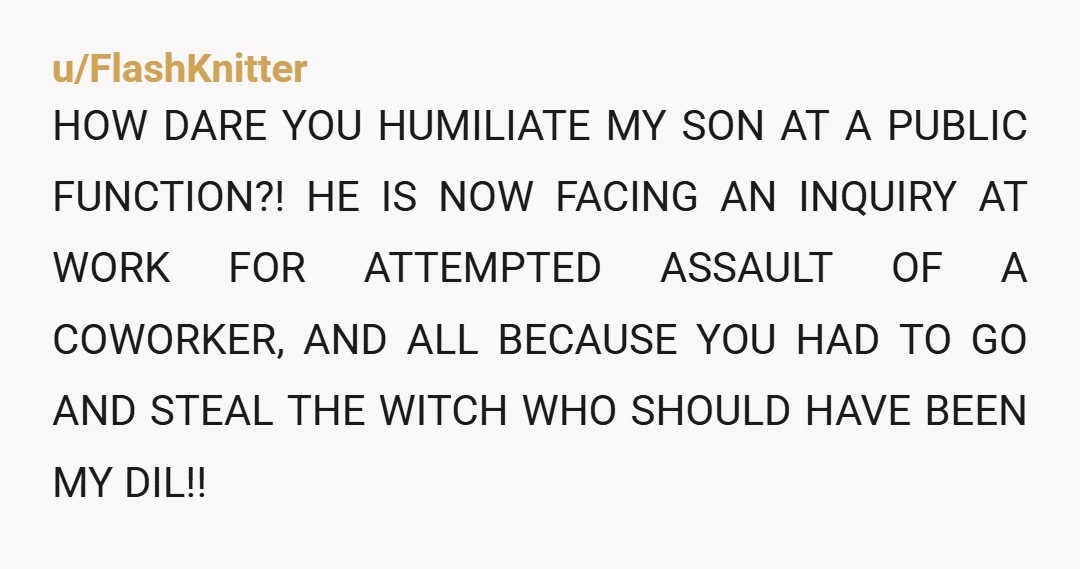 u/FlashKnitter HOW DARE YOU HUMILIATE MY SON AT A PUBLIC FUNCTION?! HE IS NOW FACING AN INQUIRY AT WORK FOR ATTEMPTED ASSAULT OF A COWORKER, AND ALL BECAUSE YOU HAD...