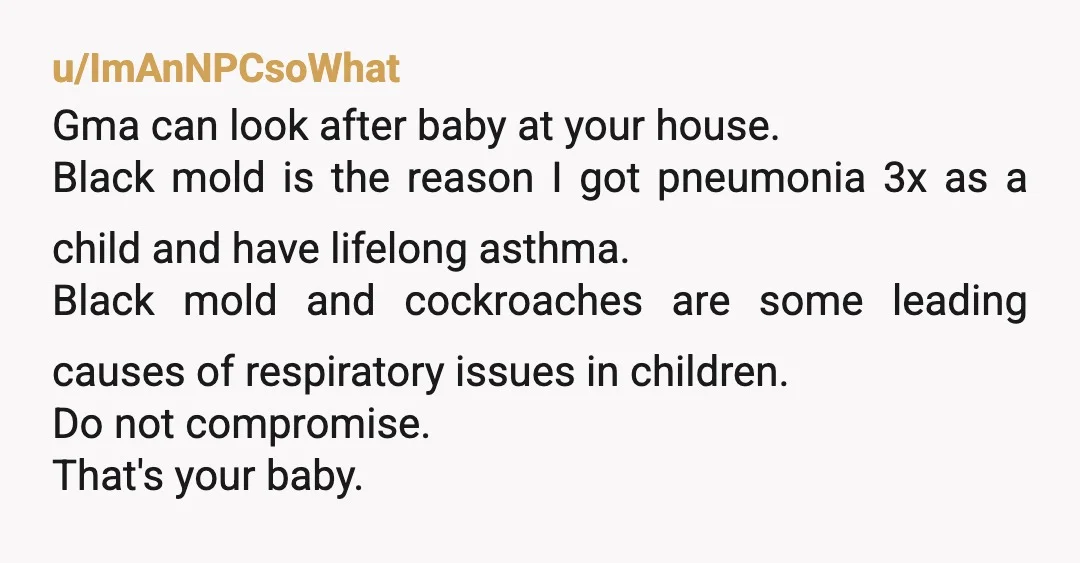u/Panaccolade NTA. Even ignoring the rest of it, black mould poses an objective risk to your baby's respiratory system. That stuff can take out adults with established immune systems and...