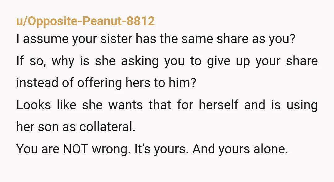 u/Ratchet_gurl24 If your sister wants her son to own a 1/4 share of the lake house, she has 2 options. Either give him her share, or completely buy you out...