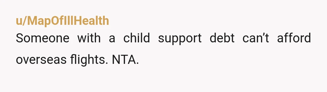 u/MapOfIllHealth
Someone with a child support debt can’t afford overseas flights. NTA.