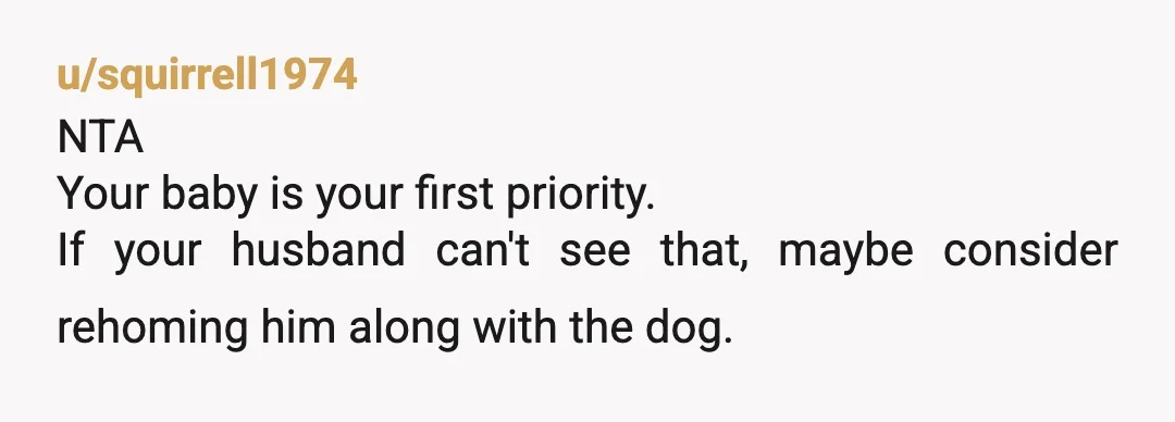 u/Geerlieso
a dog with a bite history who reacts like a literal fire alarm cannot be around a newborn, period NTA