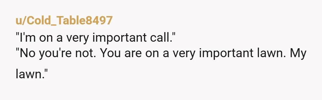 u/Cold_Table8497
"I'm on a very important call."
"No you're not. You are on a very important lawn. My lawn."