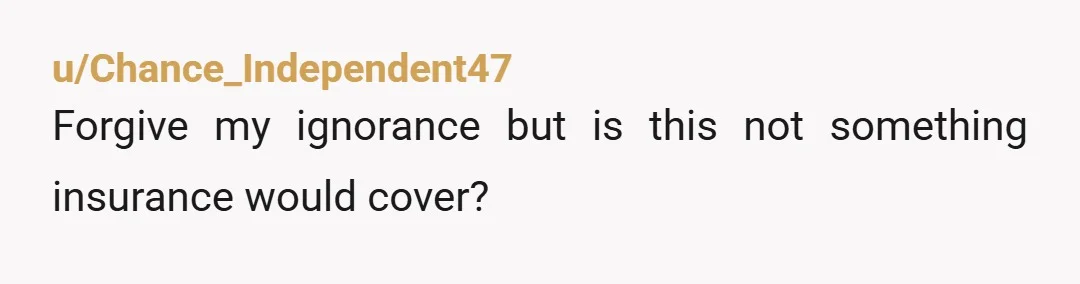 u/Chance_Independent47 Forgive my ignorance but is this not something insurance would cover? 